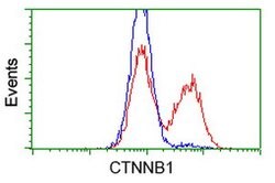 Beta-catenin Mouse anti-Canine, Human, Rat, Clone: OTI12C1, lyophilized, TrueMAB 100 &mu;g | Buy Online | Origene Technologies | Fisher Scientific