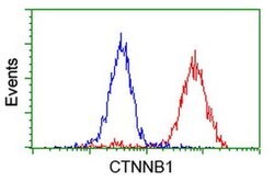 Beta-catenin Monoclonal Antibody (OTI8B5), TrueMAB , OriGene 100 &mu;L;
