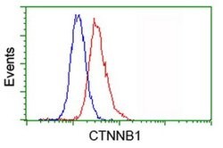 Beta-catenin Monoclonal Antibody (OTI1B11), TrueMAB , OriGene 30 &mu;L;