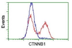 Beta-catenin Monoclonal Antibody (OTI3F9), TrueMAB , OriGene:Antibodies:Primary