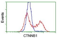 Beta-catenin Mouse anti-Human, Rat, Clone: OTI12H7, lyophilized, TrueMAB