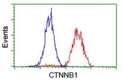 Beta-catenin Mouse anti-Human, Rat, Clone: OTI12H7, lyophilized, TrueMAB