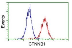 Beta-catenin Mouse anti-Canine, Human, Mouse, Rat, Clone: UMAB14, liquid,