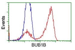 BuB1B Mouse anti-Canine, Human, Rat, Clone: OTI6E3, liquid, TrueMAB 100