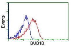 BuB1B Mouse anti-Canine, Human, Rat, Clone: OTI6E3, liquid, TrueMAB 100