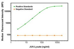 C-Jun Mouse anti-Human, Biotin, Clone: OTI9A11, liquid, TrueMAB 50 &mu;g;