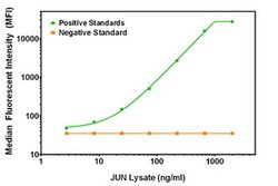 C-Jun Mouse anti-Human, Biotin, Clone: OTI2B2, liquid, TrueMAB 50 &mu;g;