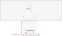 C14orf166 Mouse anti-Human, Clone: UMAB175, liquid, UltraMAB 100 &mu;L;