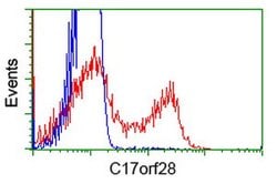 C17orf28 Mouse anti-Human, Clone: OTI4F6, lyophilized, TrueMAB 100 &mu;g;
