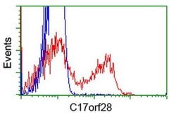 C17orf28 Monoclonal Antibody (OTI3B5), TrueMAB , OriGene 30 &mu;L; Unconjugated:Antibodies,