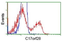 C17orf28 Monoclonal Antibody (OTI2H6), TrueMAB , OriGene 100 &mu;L; Unconjugated:Antibodies,