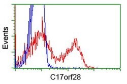 C17orf28 Monoclonal Antibody (OTI2G6), TrueMAB , OriGene 100 &mu;L; Unconjugated:Antibodies,