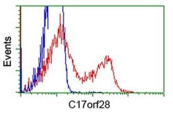 C17orf28 Monoclonal Antibody (OTI2E9), TrueMAB , OriGene:Anticuerpos:Anticuerpos