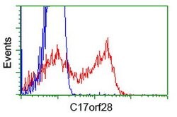 C17orf28 Mouse anti-Human, Clone: OTI1B10, lyophilized, TrueMAB 100 &mu;g;