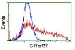 C17orf37 Mouse anti-Human, Clone: OTI4D4, liquid, TrueMAB 100 &mu;L; Unconjugated:Antibodies,