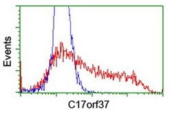 C17orf37 Monoclonal Antibody (OTI3D2), TrueMAB , OriGene:Antibodies:Primary
