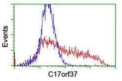 C17orf37 Mouse anti-Human, Clone: OTI2D4, lyophilized, TrueMAB 100 &mu;g;