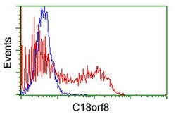 C18orf8 Monoclonal Antibody (OTI4E4), TrueMAB , OriGene 30 &mu;L | Buy Online | Origene Technologies | Fisher Scientific