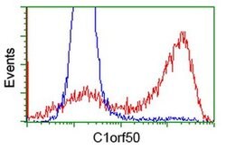 C1orf50 Monoclonal Antibody (OTI1F9), TrueMAB , OriGene 30 &mu;L; Unconjugated:Antibodies,