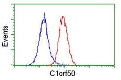 C1orf50 Monoclonal Antibody (OTI1F9), TrueMAB , OriGene:Antibodies:Primary
