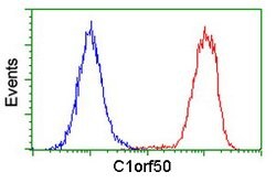 C1orf50 Mouse anti-Human, Clone: OTI1B11, lyophilized, TrueMAB 100 &mu;g | Buy Online | Origene Technologies | Fisher Scientific