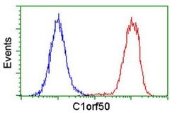 C1orf50 Monoclonal Antibody (OTI1B11), TrueMAB , OriGene 100 &mu;L; Unconjugated:Antibodies,