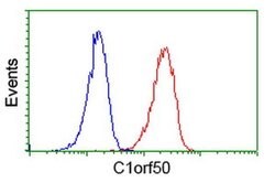 C1orf50 Monoclonal Antibody (OTI1B11), TrueMAB , OriGene 100 &mu;L; Unconjugated:Antibodies,