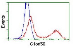 C1orf50 Mouse anti-Human, Clone: OTI4D10, lyophilized, TrueMAB 100 &mu;g;