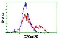 C20orf30 Mouse anti-Human, Clone: OTI2C8, lyophilized, TrueMAB 100 &mu;g;