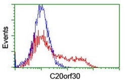 C20orf30 Monoclonal Antibody (OTI3B2), TrueMAB , OriGene 30 &mu;L | Buy Online | OriGene | Fisher Scientific