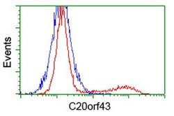 C20orf43 Mouse anti-Human, Clone: OTI3A5, lyophilized, TrueMAB 100 &mu;g;