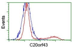 C20orf43 Monoclonal Antibody (OTI3A5), TrueMAB , OriGene 30 &mu;L; Unconjugated:Antibodies,