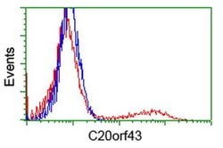 C20orf43 Monoclonal Antibody (OTI1E8), TrueMAB , OriGene 30 &mu;L; Unconjugated:Antibodies,