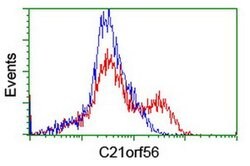 C21orf56 Monoclonal Antibody (OTI1H6), TrueMAB , OriGene:Antibodies:Primary