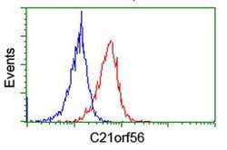 C21orf56 Monoclonal Antibody (OTI1H6), TrueMAB , OriGene 30 &mu;L; Unconjugated:Antibodies,