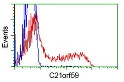 C21orf59 Monoclonal Antibody (OTI2H5), TrueMAB , OriGene 100 μL; Unconjugated:Antibodies,