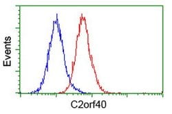 C2orf40 Mouse anti-Human, Clone: OTI3B10, lyophilized, TrueMAB 100 &mu;g;