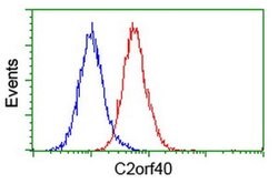 C2orf40 Monoclonal Antibody (OTI3B10), TrueMAB , OriGene:Antibodies:Primary