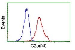 C2orf40 Mouse anti-Human, Clone: OTI3B10, lyophilized, TrueMAB 100 &mu;g;