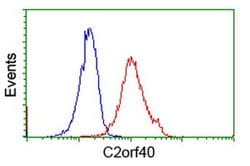 C2orf40 Monoclonal Antibody (OTI3B10), TrueMAB , OriGene 100 &mu;L; Unconjugated:Antibodies,