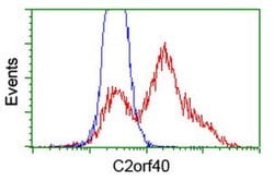 C2orf40 Monoclonal Antibody (OTI1A10), TrueMAB , OriGene 30 &mu;L; Unconjugated:Antibodies,