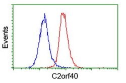 C2orf40 Mouse anti-Human, Clone: OTI1A10, lyophilized, TrueMAB 100 &mu;g;