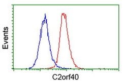 C2orf40 Monoclonal Antibody (OTI1A10), TrueMAB , OriGene 30 &mu;L; Unconjugated:Antibodies,