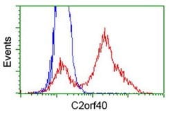 C2orf40 Monoclonal Antibody (OTI1F6), TrueMAB , OriGene:Antibodies:Primary