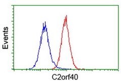 C2orf40 Monoclonal Antibody (OTI1F6), TrueMAB , OriGene:Antibodies:Primary
