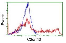 C2orf43 Monoclonal Antibody (OTI2G9), TrueMAB , OriGene 100 &mu;L; Unconjugated:Antibodies,