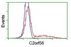 C2orf56 Mouse anti-Human, Clone: OTI6F10, lyophilized, TrueMAB 100 &mu;g;