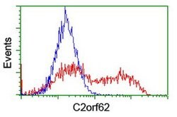 C2orf62 Monoclonal Antibody (OTI2F4), TrueMAB , OriGene 100 &mu;L; Unconjugated:Antibodies,
