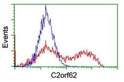 C2orf62 Monoclonal Antibody (OTI4A12), TrueMAB , OriGene 30 &mu;L; Unconjugated:Antibodies,