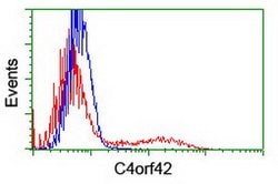 C4orf42 Mouse anti-Human, Clone: OTI2C6, lyophilized, TrueMAB 100 &mu;g;
